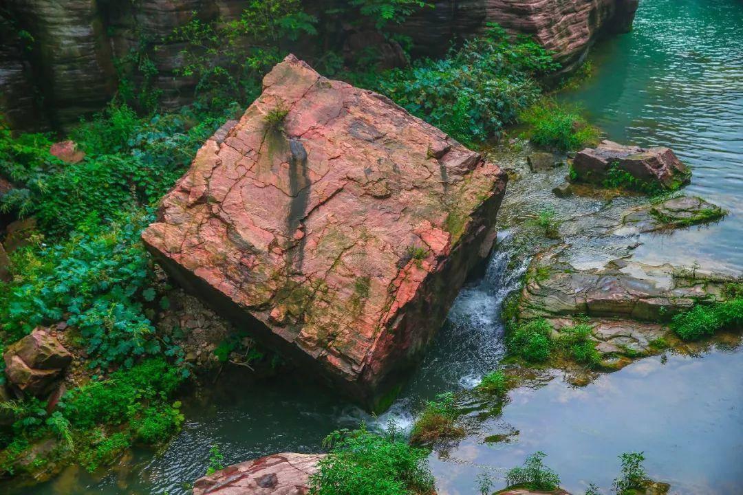 雨血：影之刃