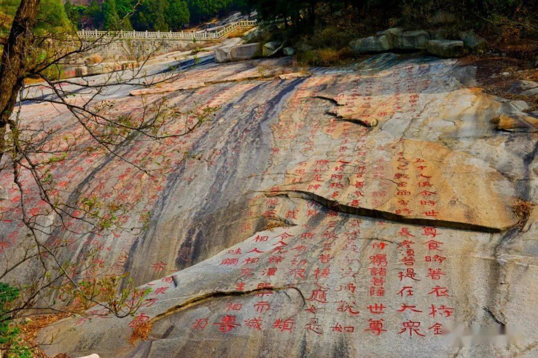 床上发现了一个不知道是虫子尸体还是脱的壳的东西，求大神指点啊游戏画面